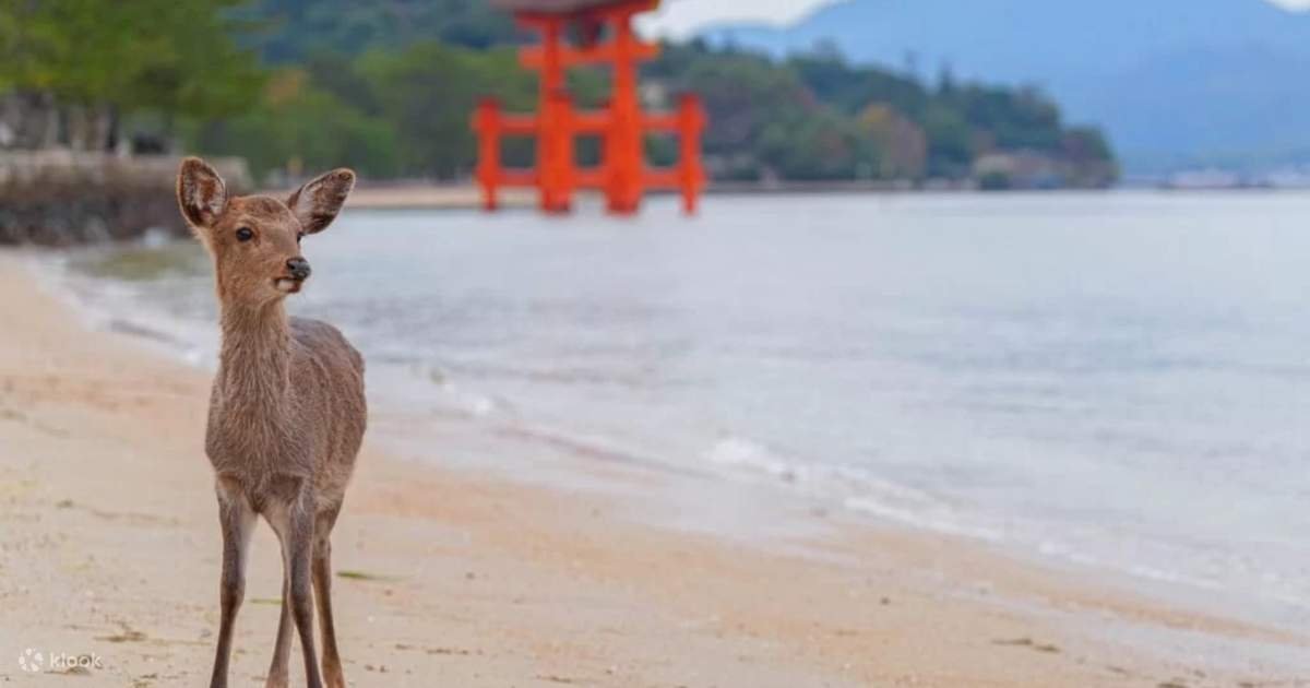 🏯 미야마 제1포대 터(미야마 다이이치 호다이아토) 이미지 1